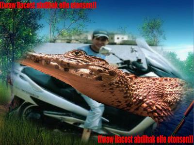 wawl                                                                                          acost