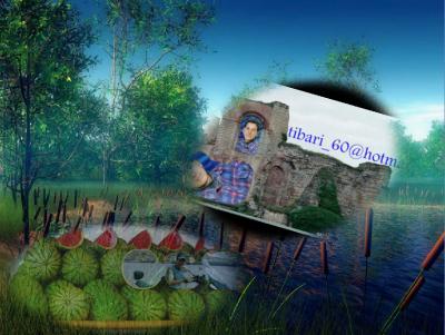 tibari_60@hotmail.fr